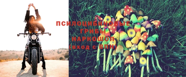 МДПВ Абаза