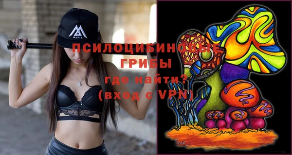 apvp Бикин