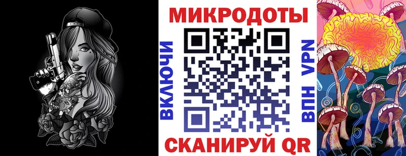 Псилоцибиновые грибы прущие грибы Западная Двина