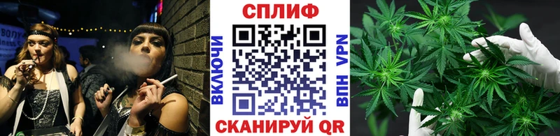 Бошки марихуана семена  Западная Двина 